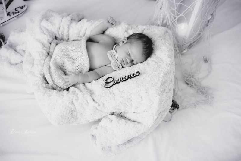 Tatyana Khazova flowers