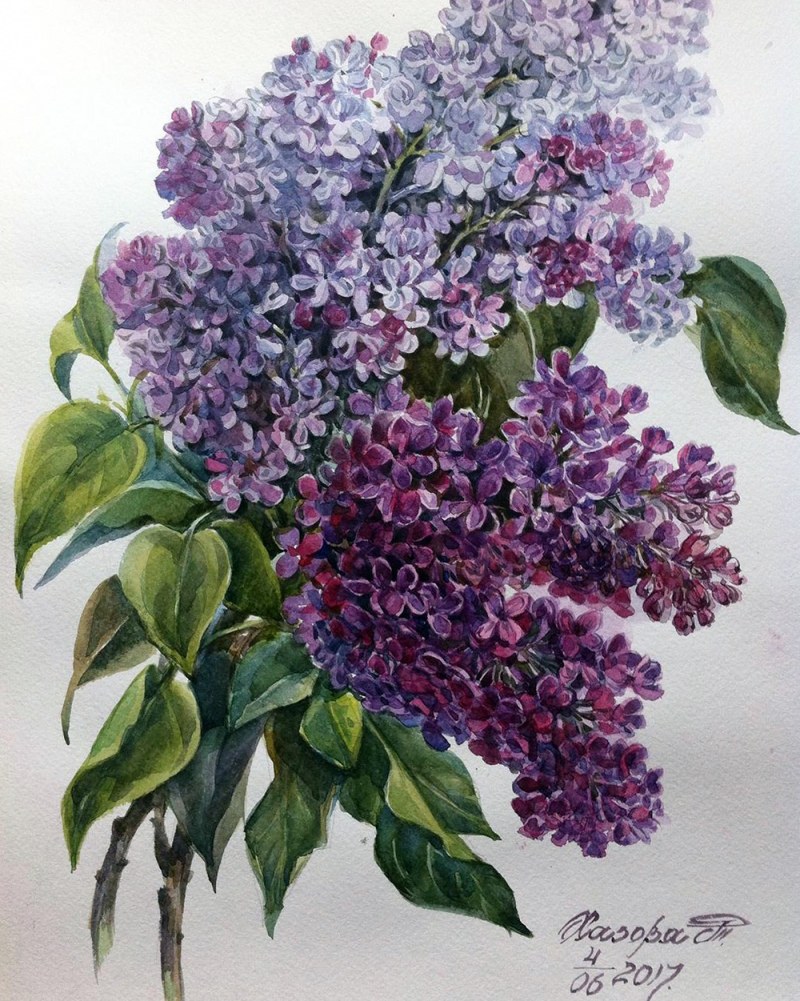 Yana Khimchenko photo shoot