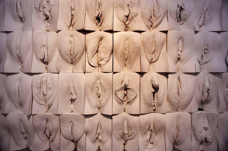 Faces and vaginas of pornses