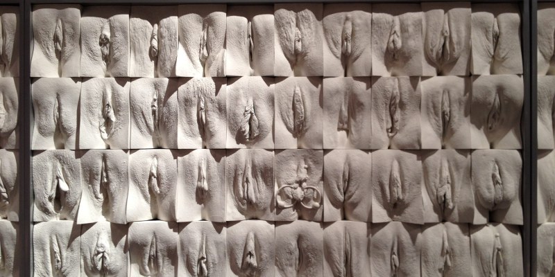 Forms of female genitals