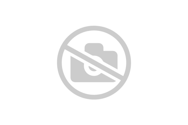 MSI 865GVM2-LS motherboard