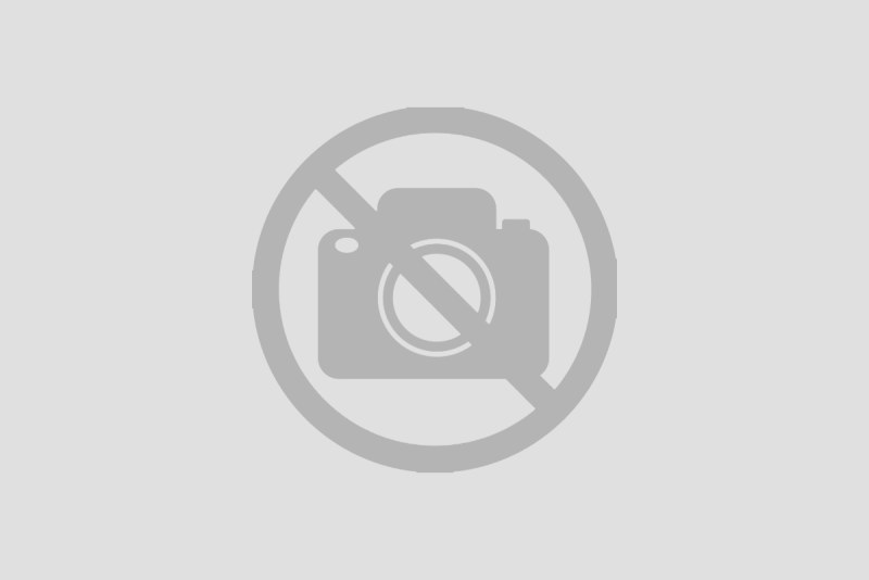 NN-DF383BZPE (inverter)