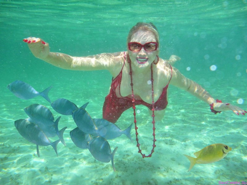 TV presenter Elena Ishcheeva Naked