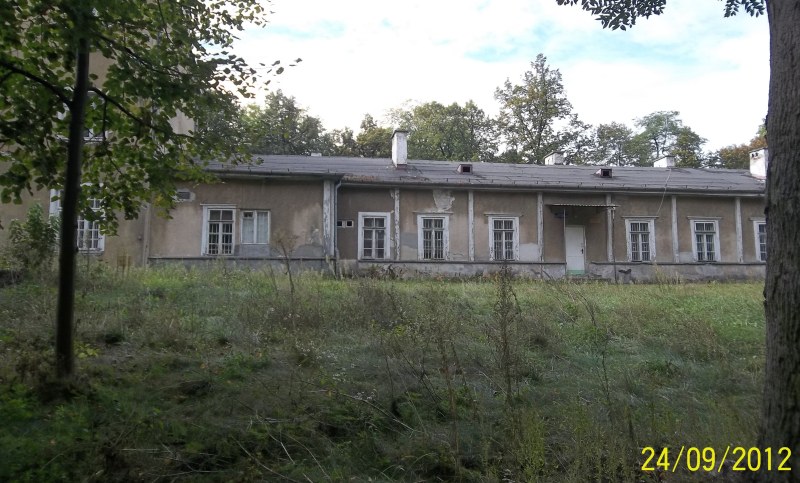 Violence in feature films