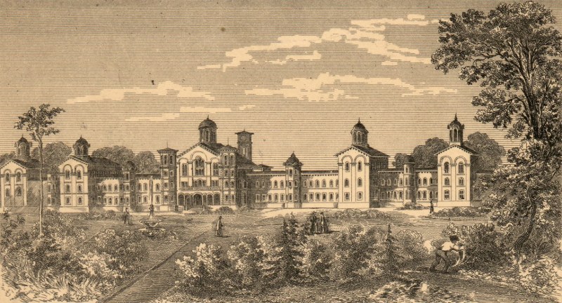 Nurses and doctors. Nymph (Viola)