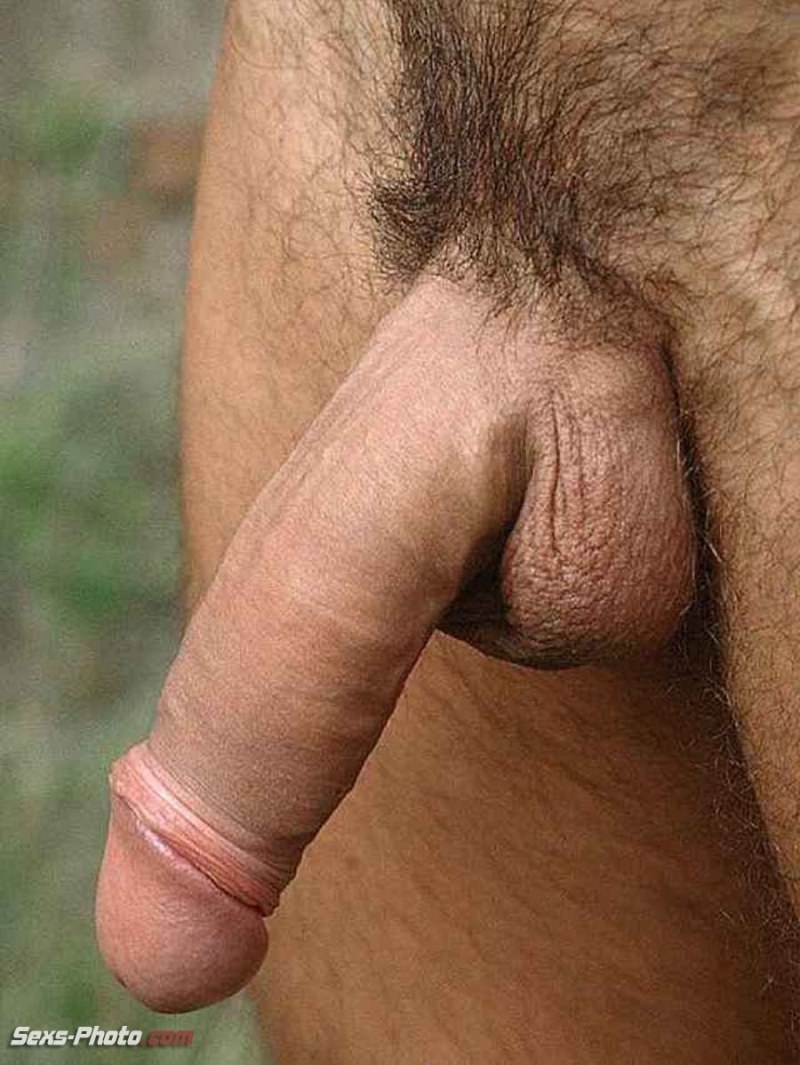 Huge male genital organ