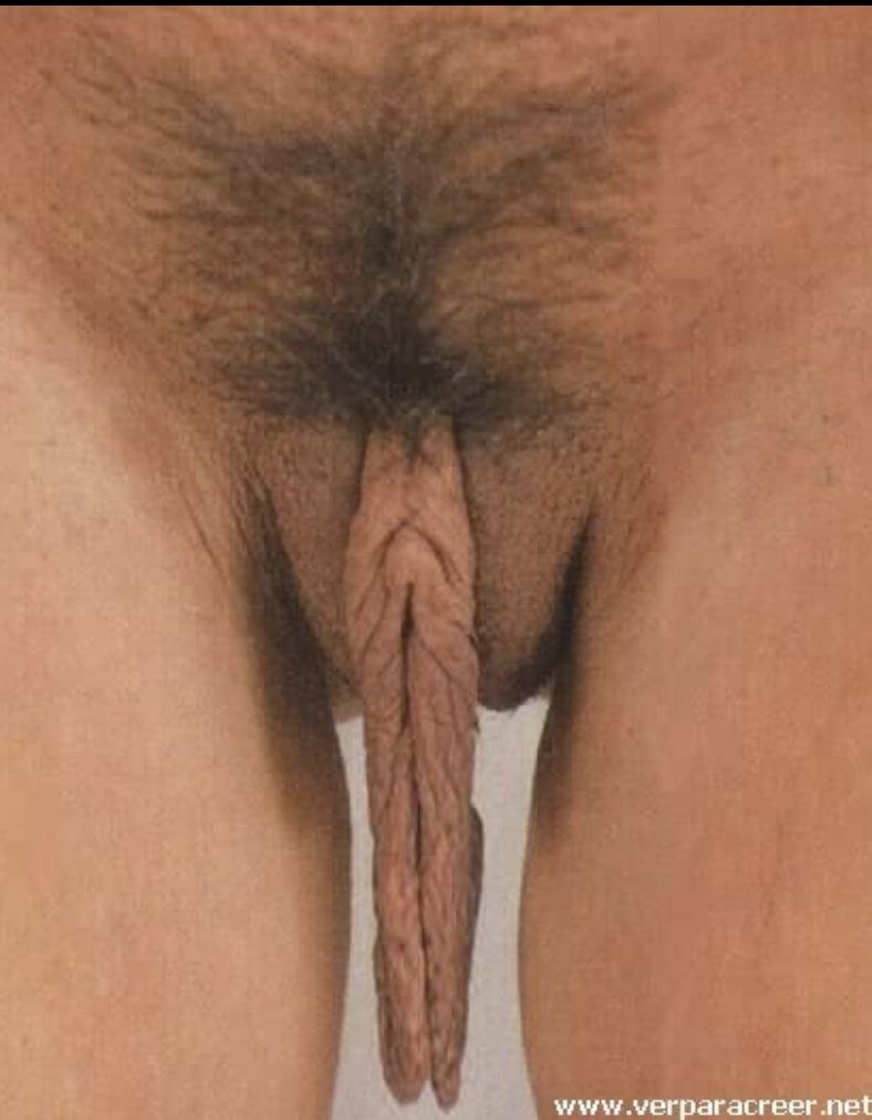 Red Pubes in Close-Up (77 photos)