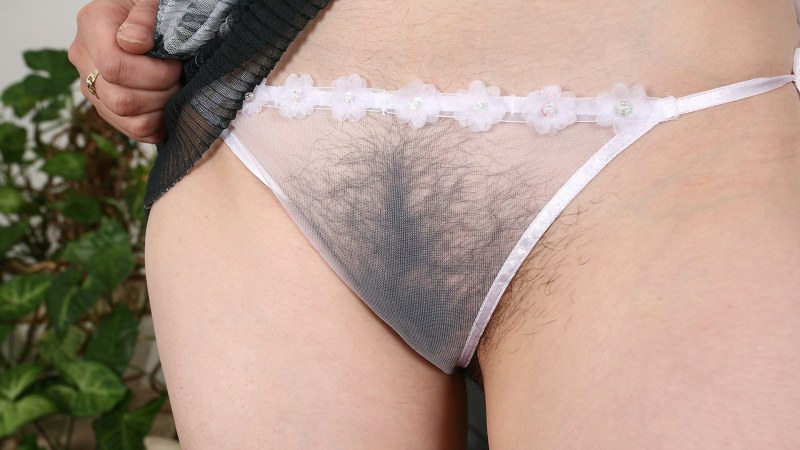 Women's pussies in transparent panties