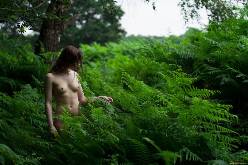Girl naked in the bushes