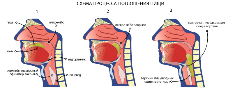 Chopping up the weather shine meme