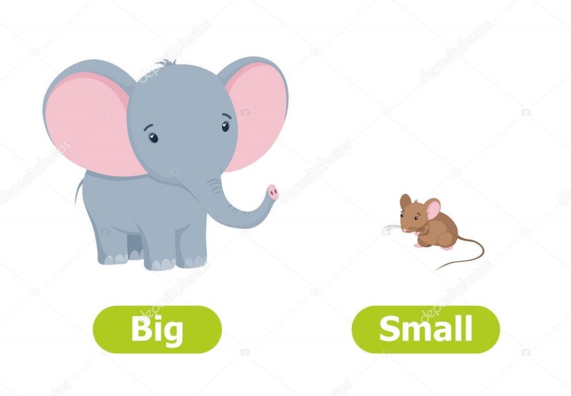 Big Small cards for children