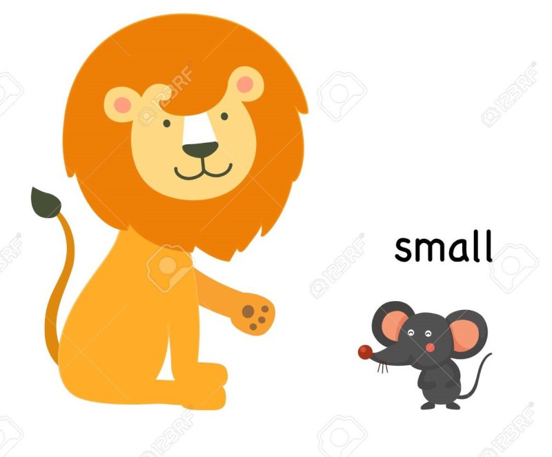 Big Little for children