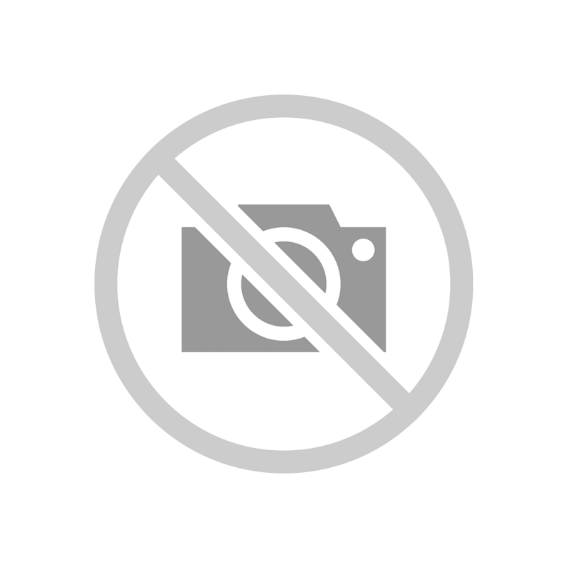 Portrait of Lopukhina Lermontov