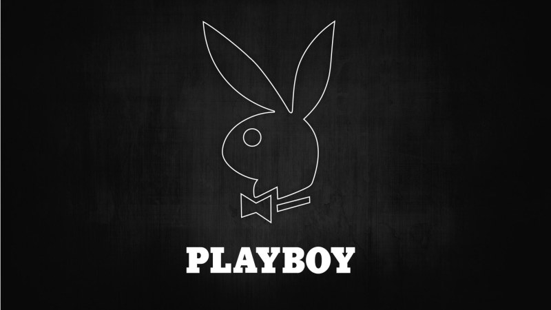 The most beautiful porn actresses