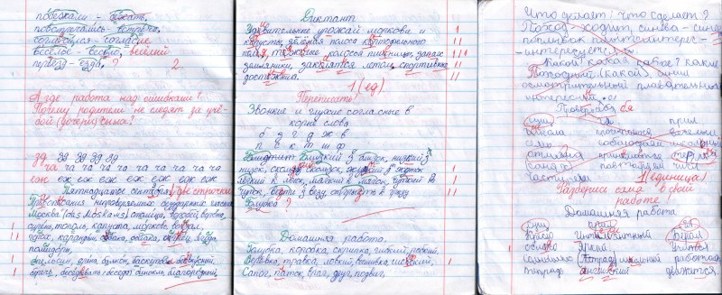 The student’s notebook