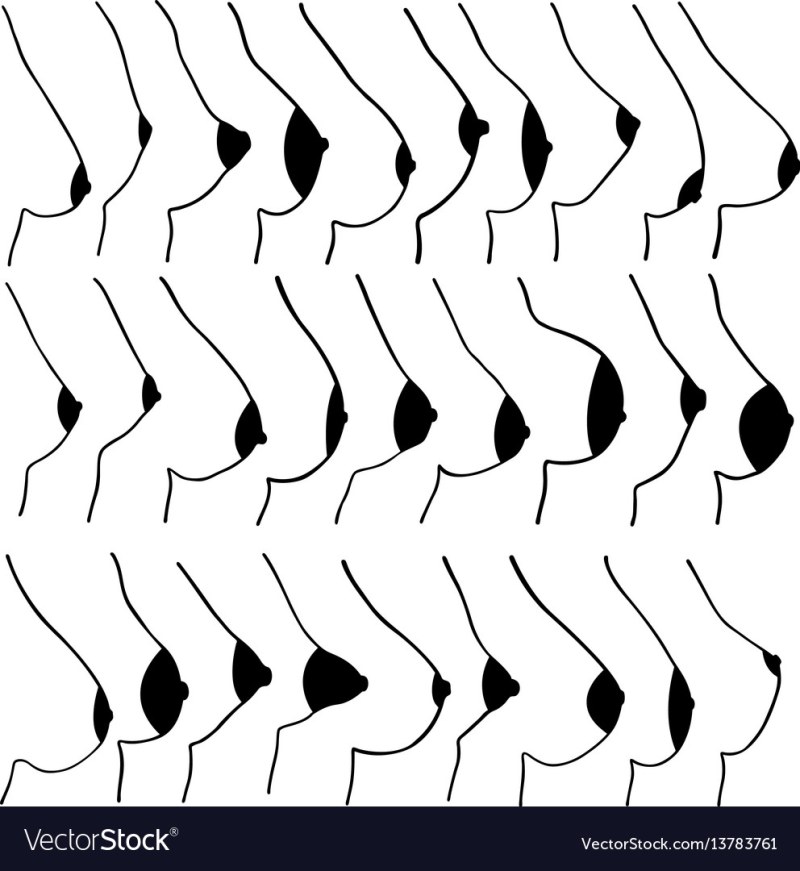 Breast self -examination scheme