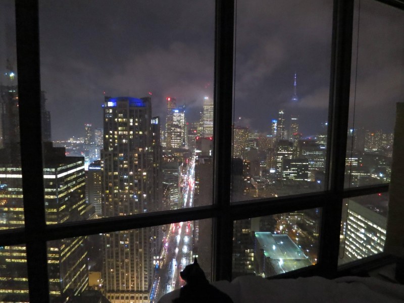 View of the night city from the window