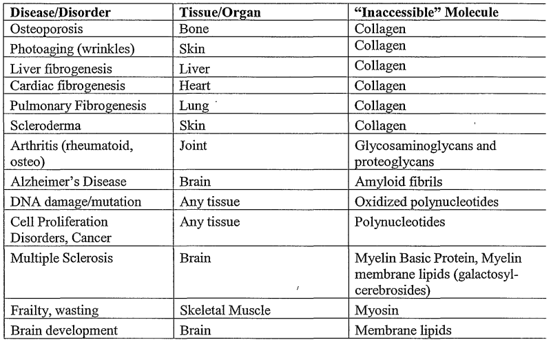 Kunitsyna Ksenia Anatolyevna Perm