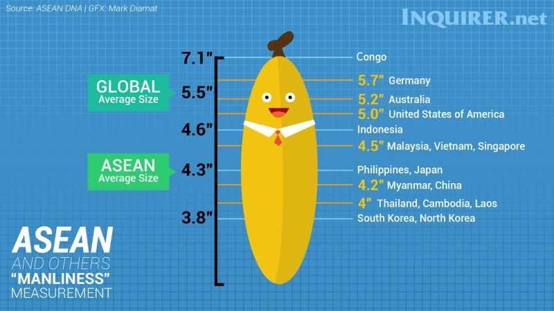 World map of the size of the penis
