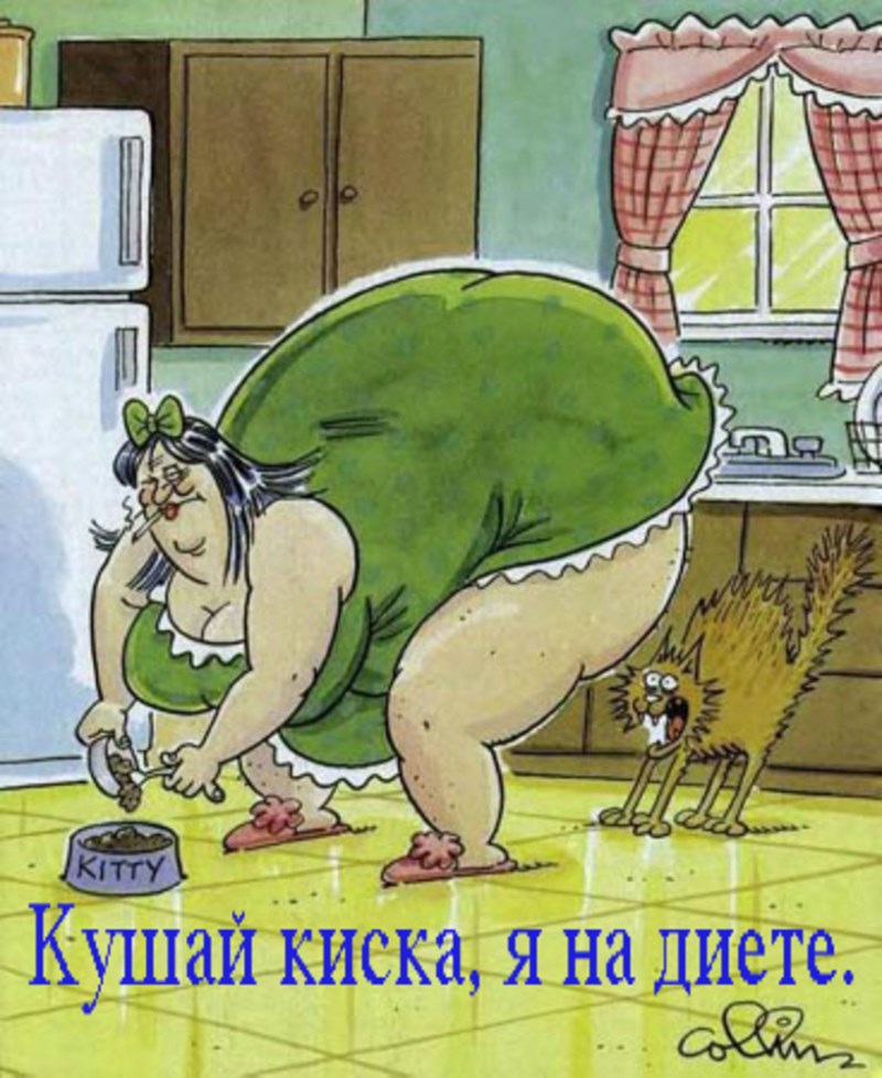 Caricatures for adults