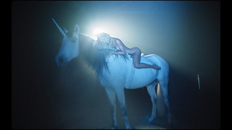 Uzolnopodniki parrots are turquoise