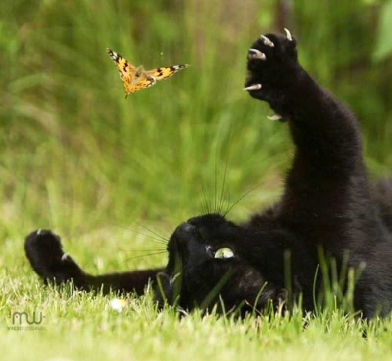 Giant woman and little man