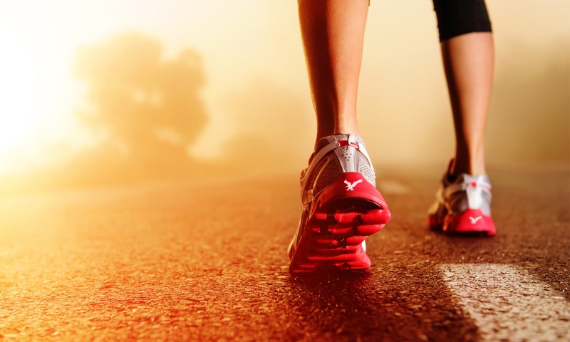 Big Brother Lisa F95