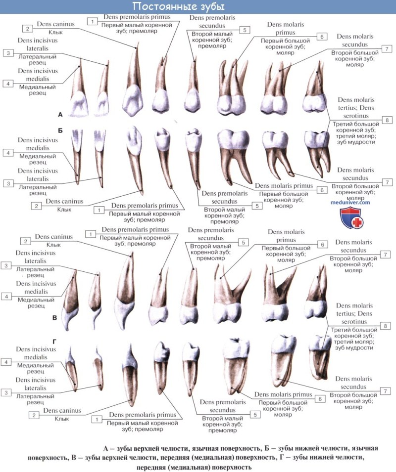 The silhouettes of dancing people