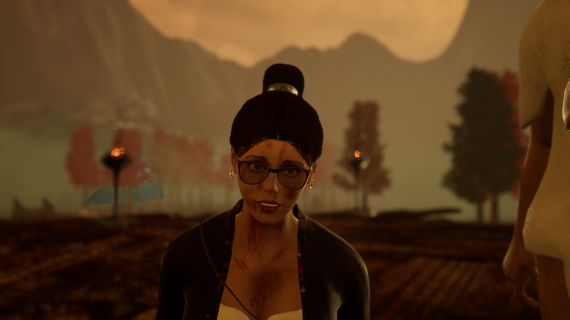 Nai's Training Diary Game