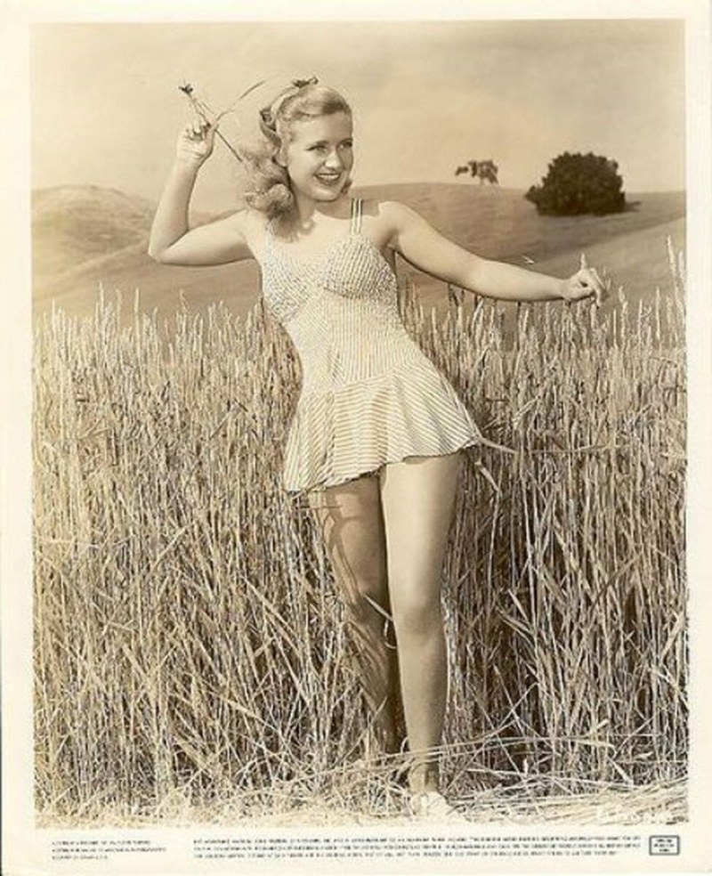 Camp Commune Hippie Taylor Camp