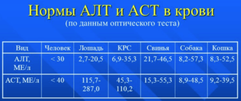 Blood test Alt and AST Norm