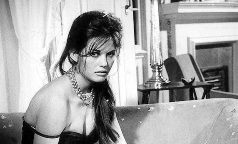 Calendar of preventive vaccinations for adults