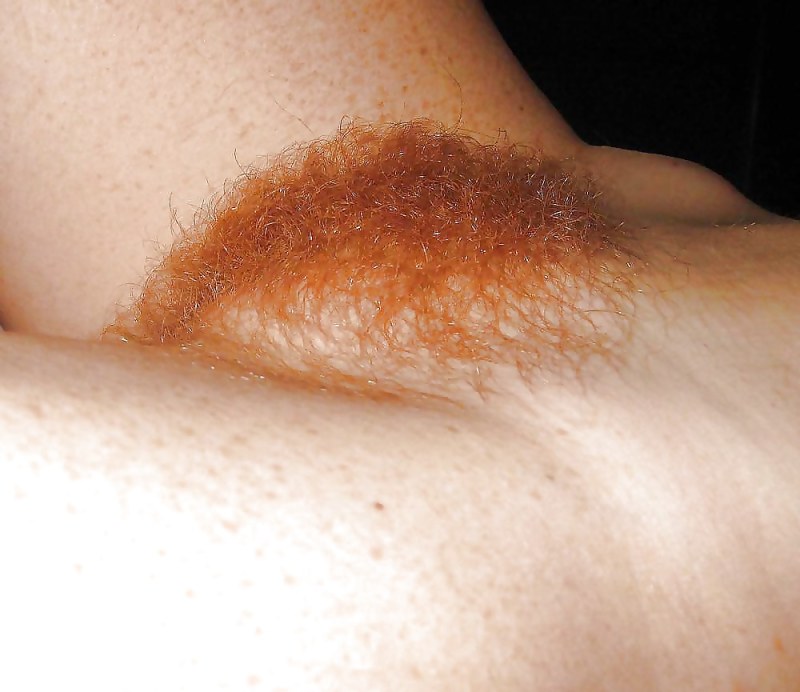 Cunnilingus red hairy