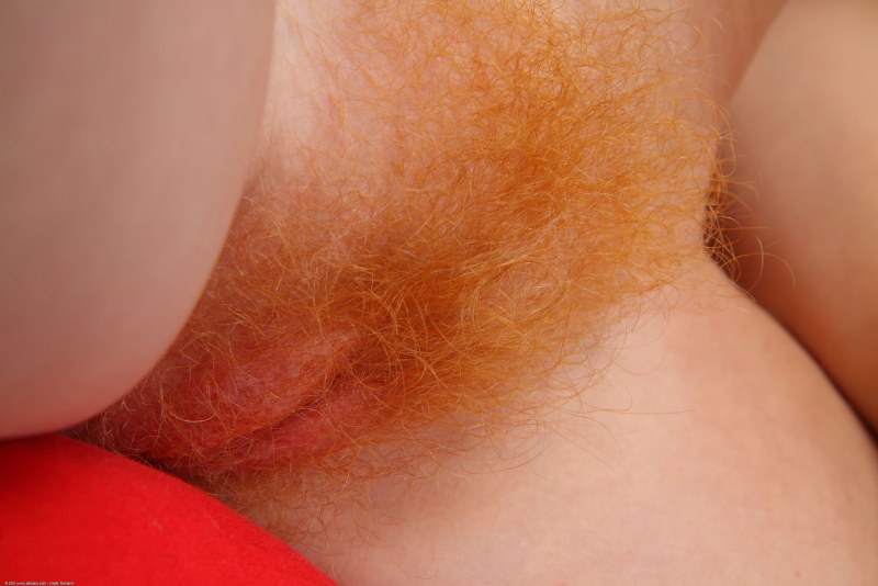 Red -haired hairy crotch