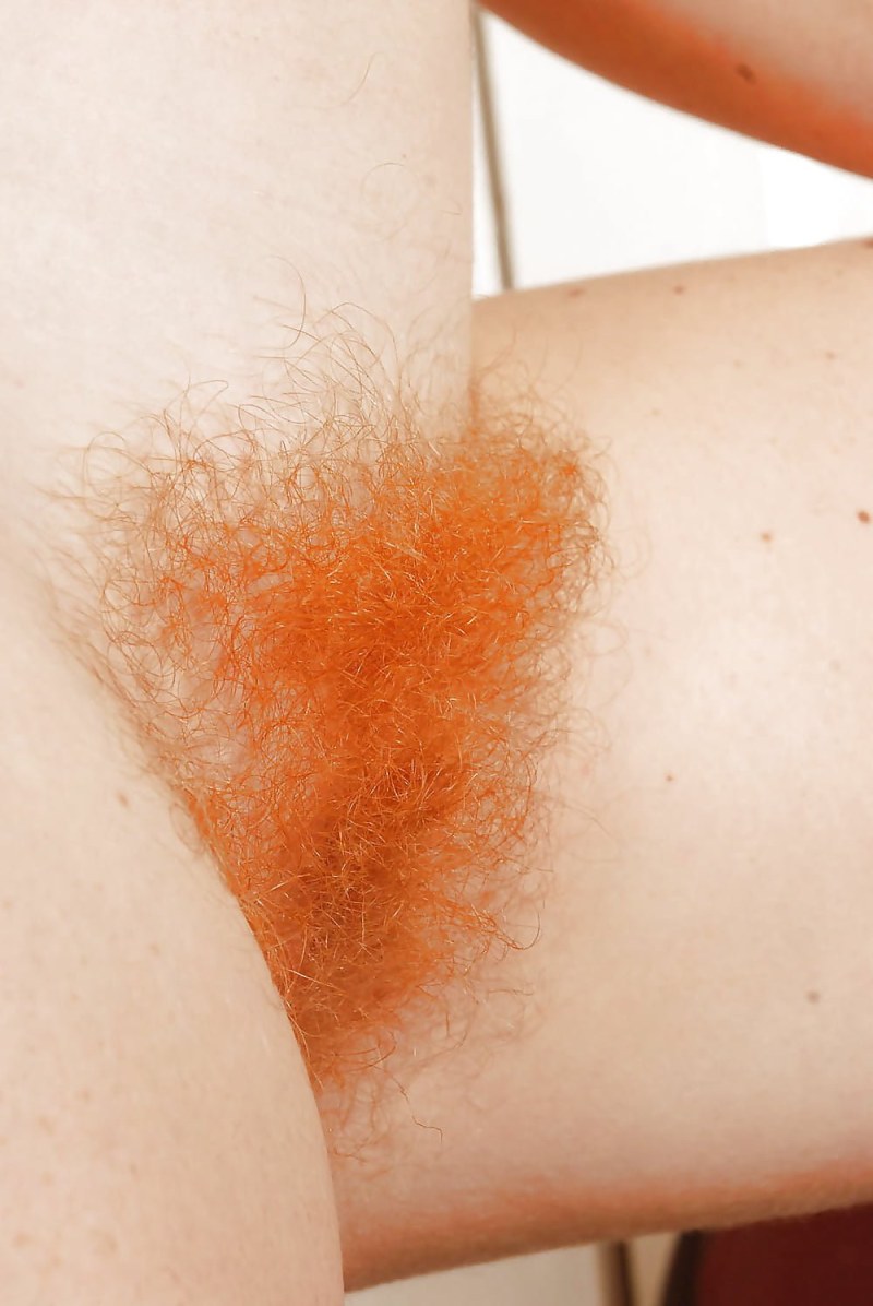 Red -haired hairy crotch