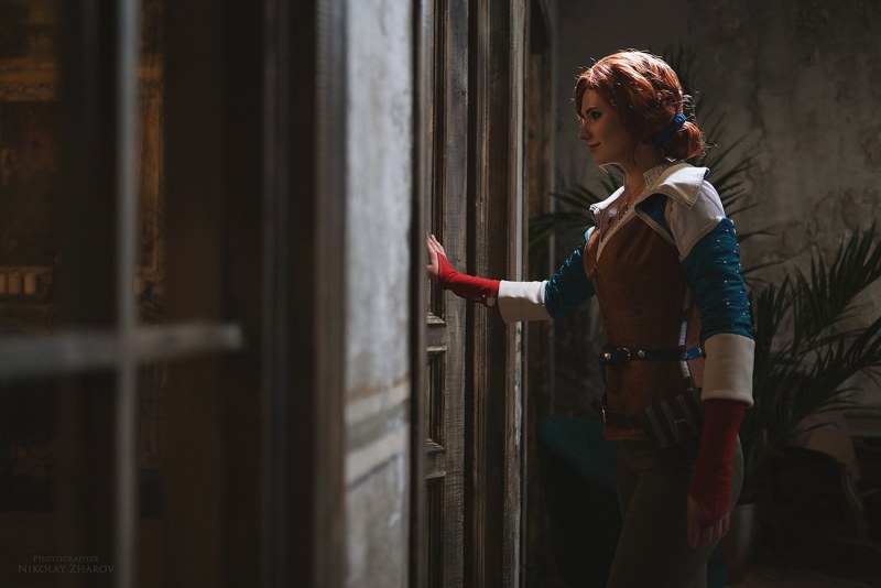 The difference between Furri and Antro