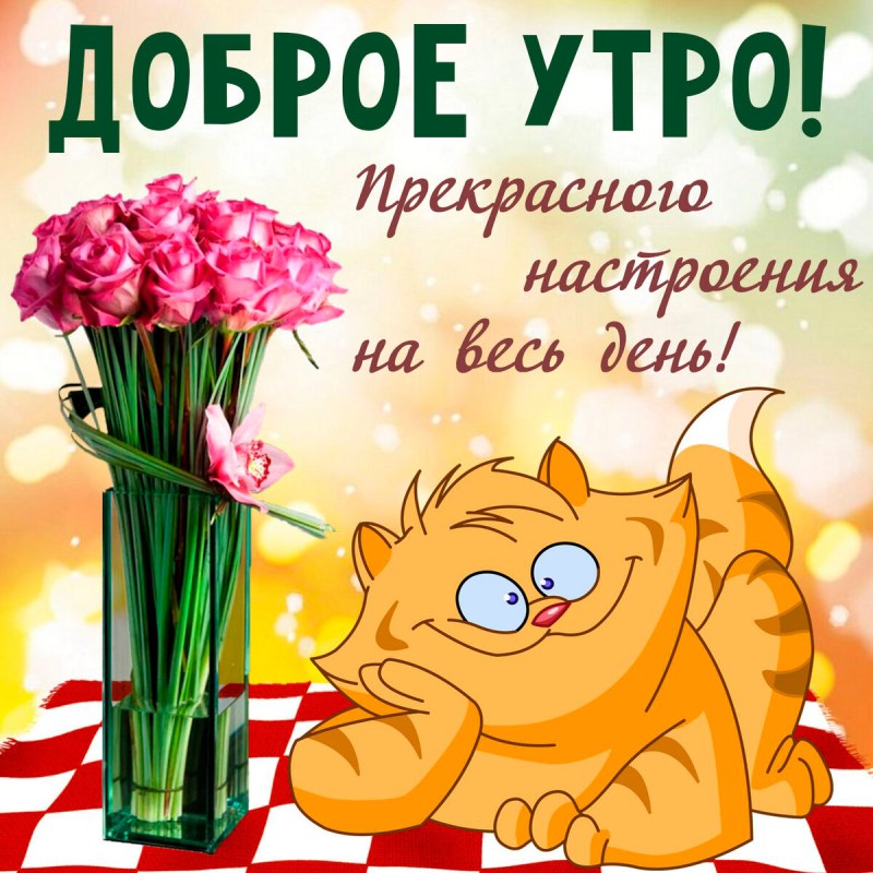 Wishes with good morning cool