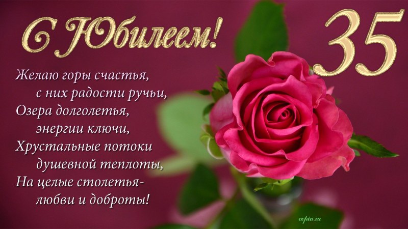 Bonni Dolce Sharon White