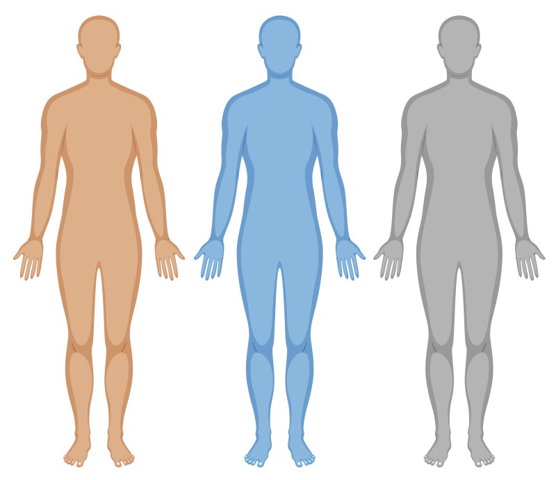 Dakimakura Attack Titanov Sasha