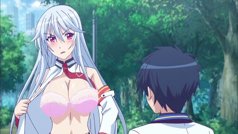 Comparison of the Veda benchmark and muscles