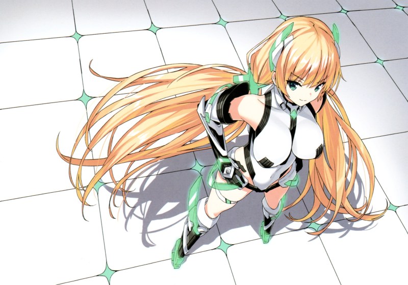 Rakuen Tsuihou Expelled from Paradise year of release