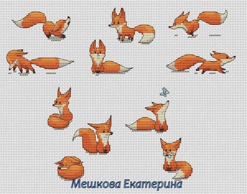 Pomeranian Spitz and Samed