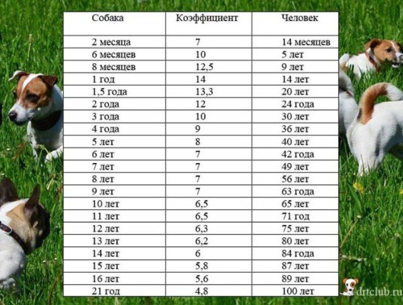 Ekaterina Spitz without Photoshop