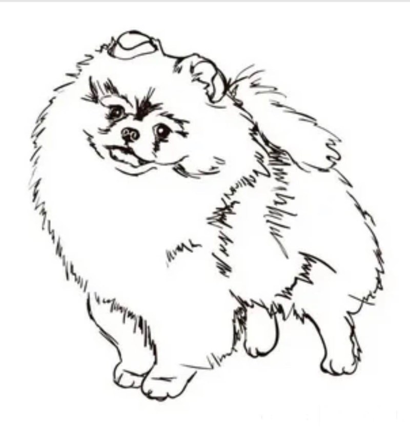 Drawing on cells the dog is small