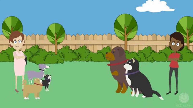 High school student anime manga