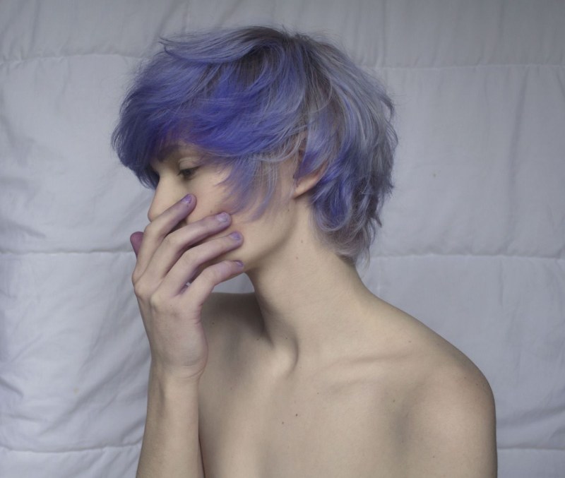 Purple pixie bob