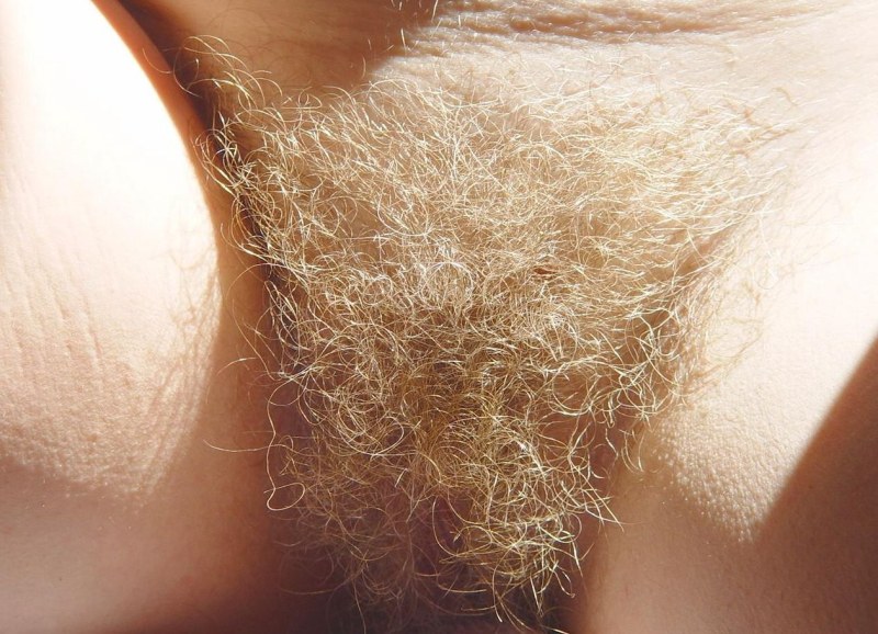 Abby Winters hairy