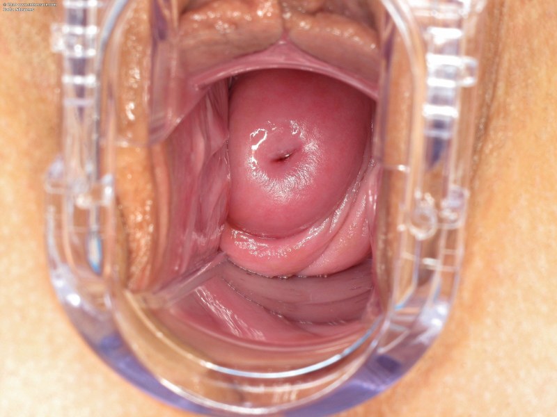 Virgin vagina from the inside