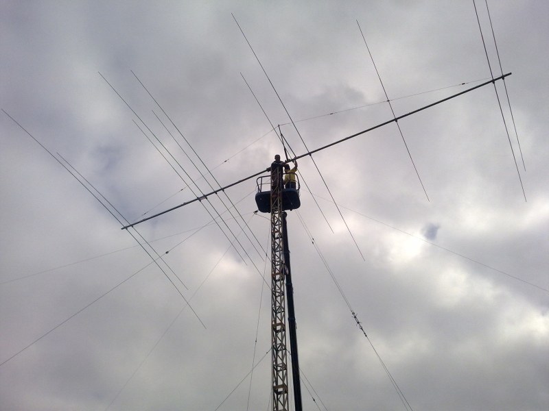 A Portfolio for Young Nimpha