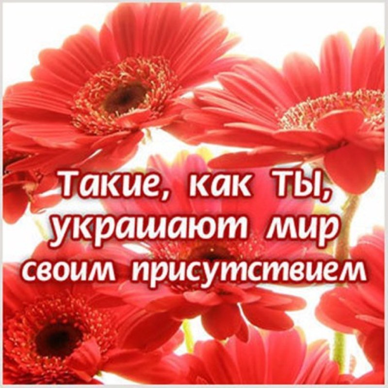 Beautiful compliments to the girl